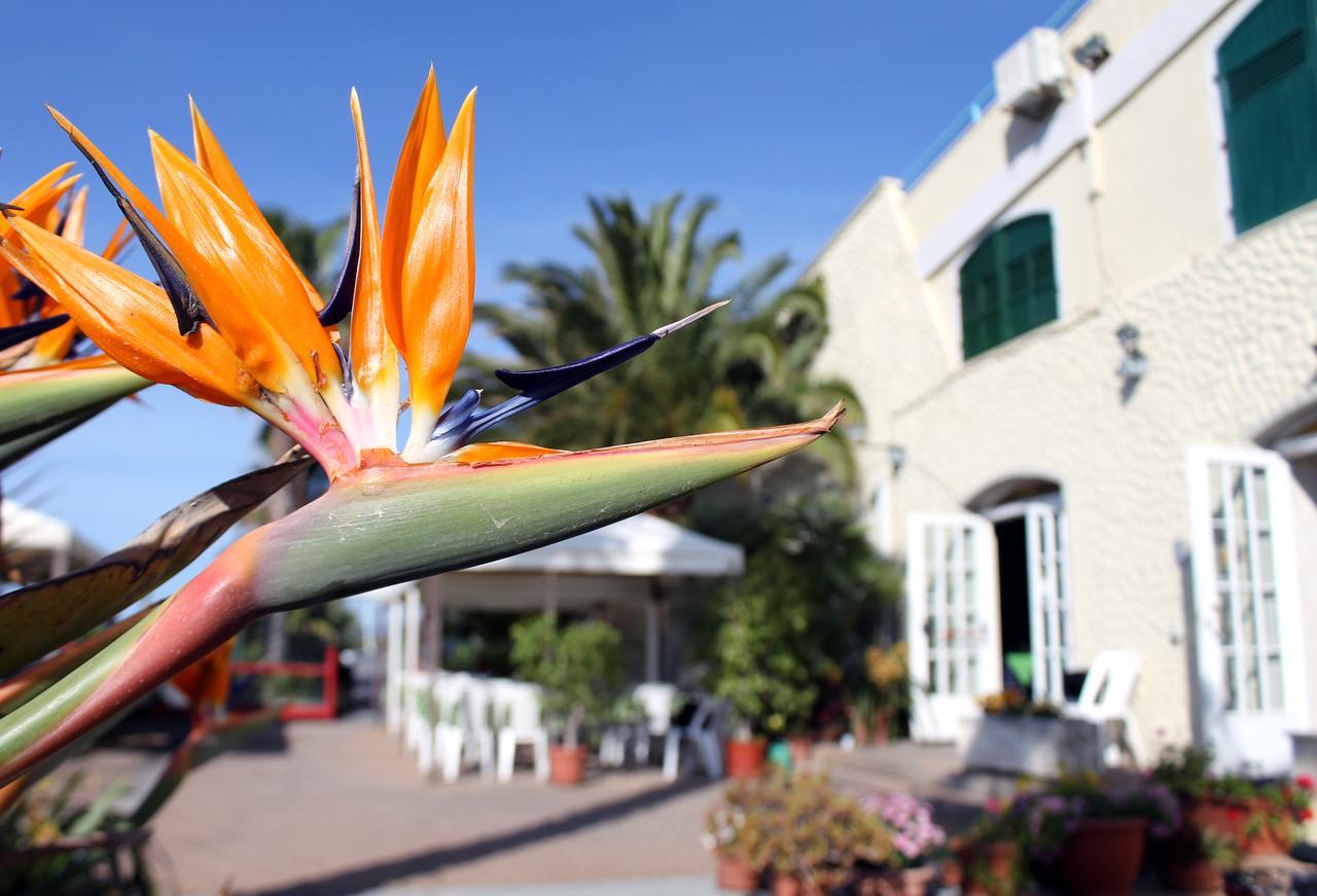 Albergo Ristorante Lucciola Santo Stefano al Mare Ngoại thất bức ảnh